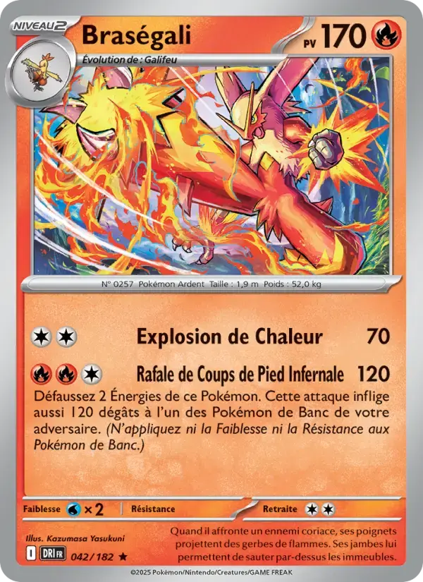 Carte Pokémon Braségali #042 — Rivalités Destinées