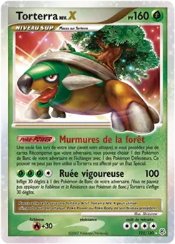 Carte Pokémon Torterra #122 — Diamant et Perle