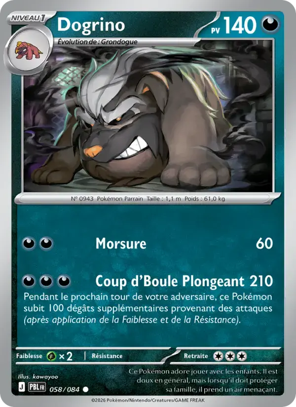 Carte Pokémon Dogrino #058 — Nuit Noire