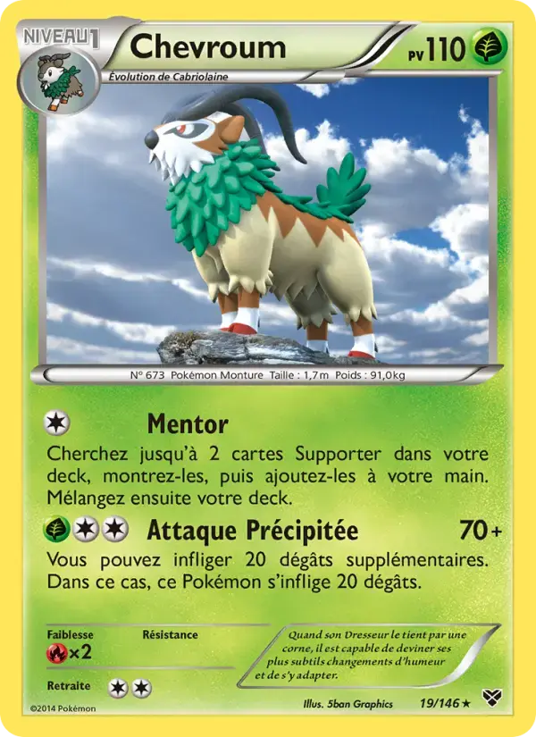 Carte Pokémon Chevroum #19 — XY