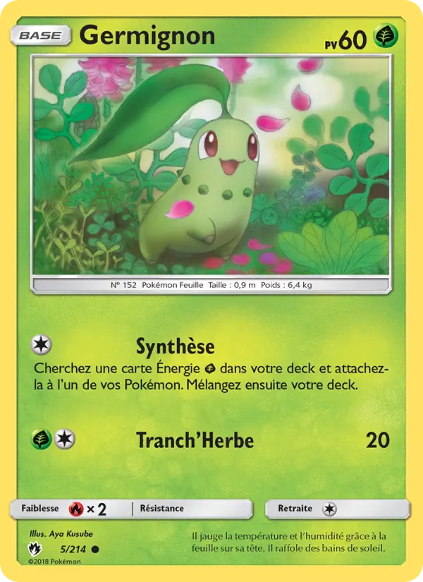 Carte Pokémon Germignon #5 — Tonnerre Perdu