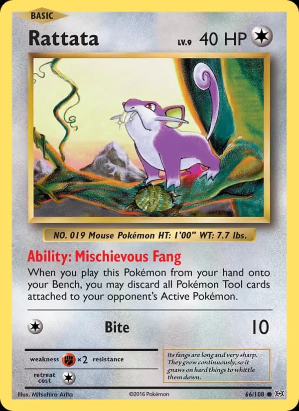 Rattata #66 — Evolutions