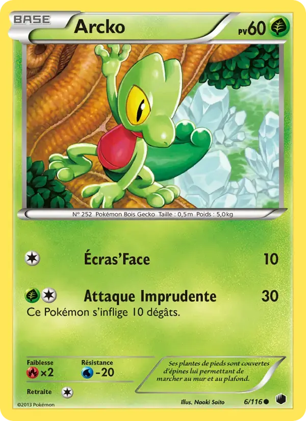 Carte Pokémon Arcko #6 — Glaciation Plasma