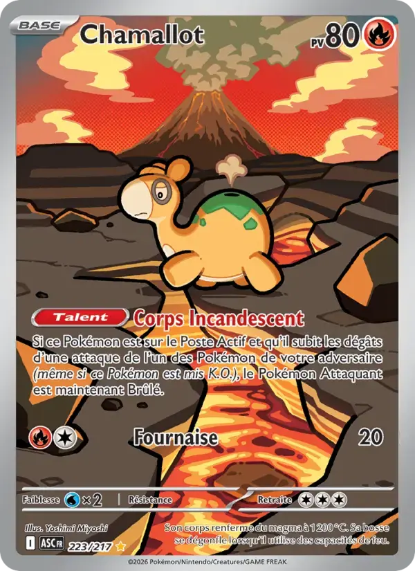 Carte Pokémon Chamallot #223 — Héros Transcendants