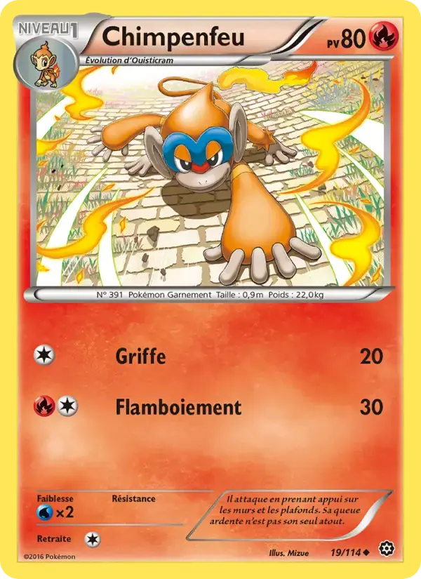 Carte Pokémon Chimpenfeu #19 — Offensive Vapeur