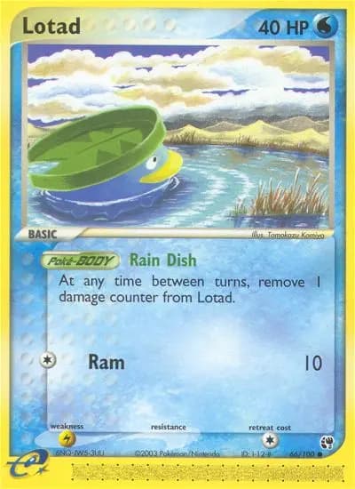 Lotad #66 — Sandstorm