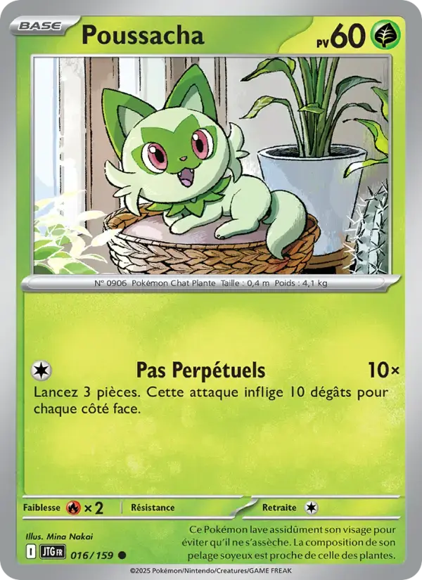 Carte Pokémon Poussacha #016 — Aventures Ensemble