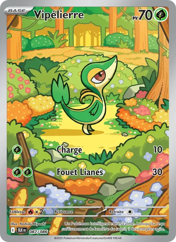 Carte Pokémon Vipélierre #087 — Foudre Noire