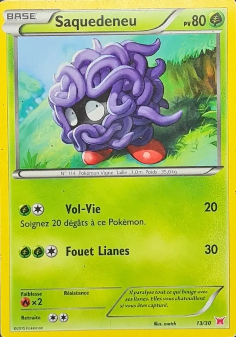 Tangela #13 — XY Trainer Kit (Latias)