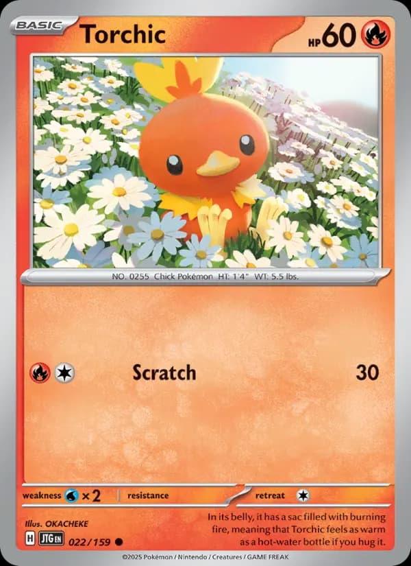 Torchic #022 — Journey Together