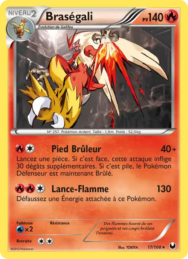 Carte Pokémon Braségali #17 — Explorateurs Obscurs