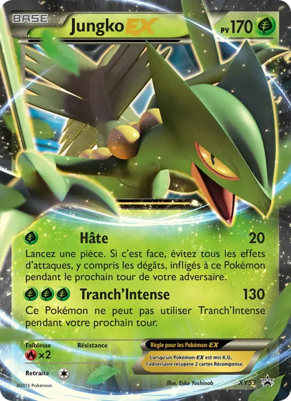 Carte Pokémon Jungko EX #XY53 — Promos X&Y