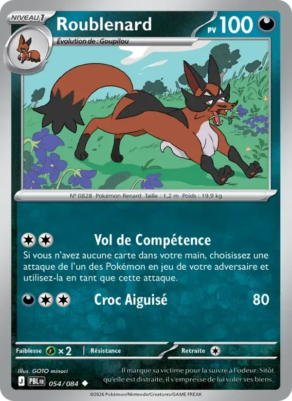 Carte Pokémon Roublenard #054 — Nuit Noire