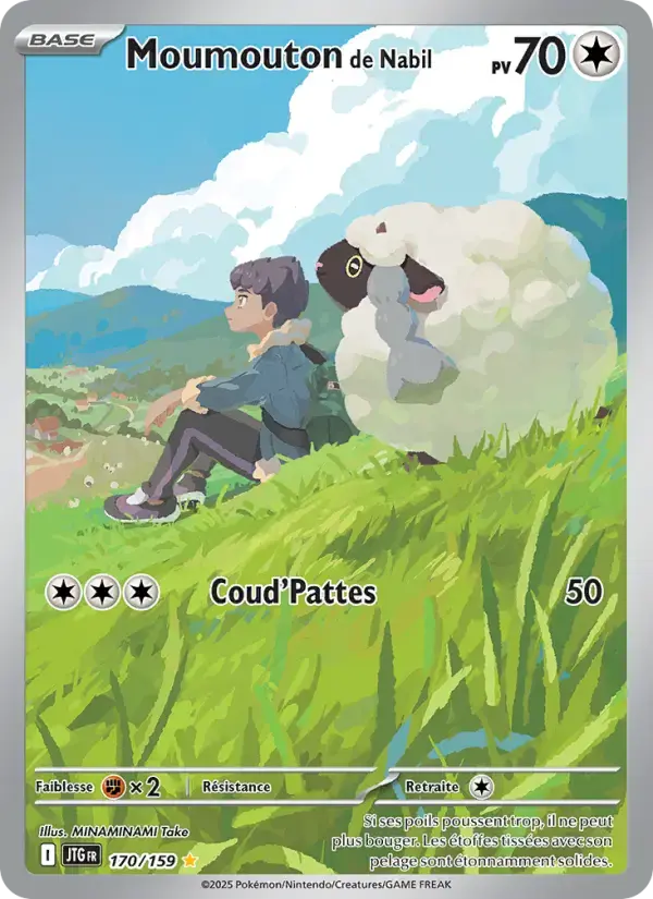 Carte Pokémon Moumouton de Nabil #170 — Aventures Ensemble