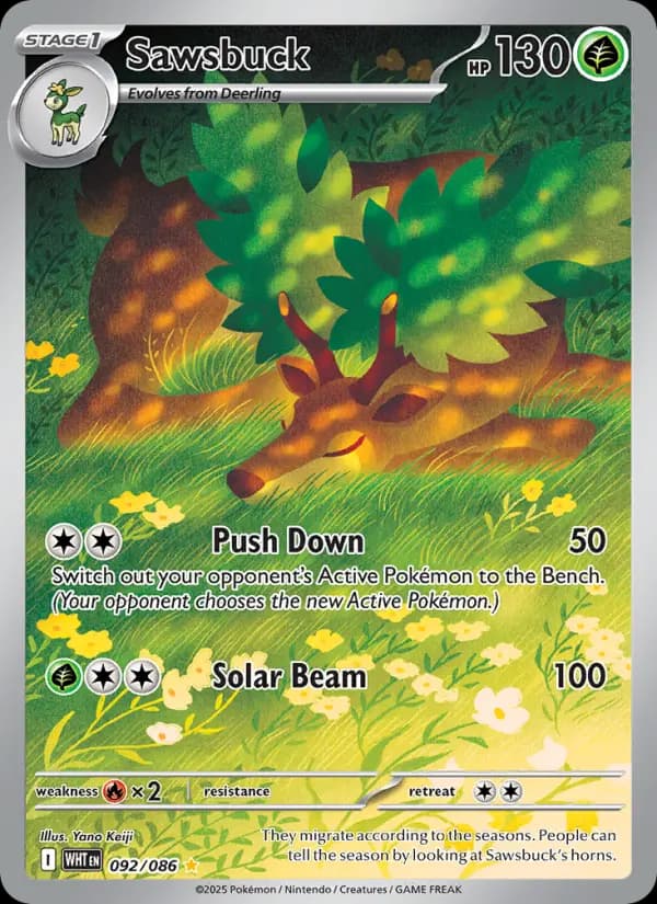 Sawsbuck #092 — White Flare