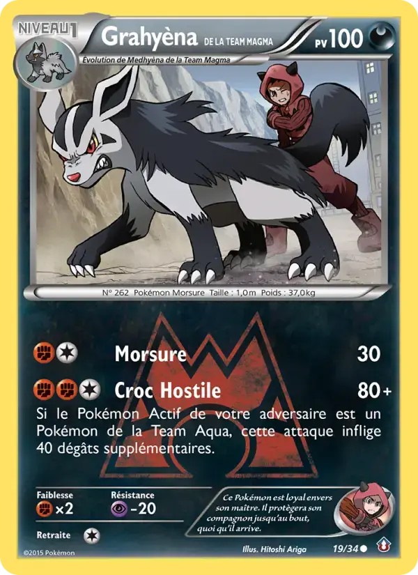 Carte Pokémon Grahyèna de la Team Magma #19 — Double Danger