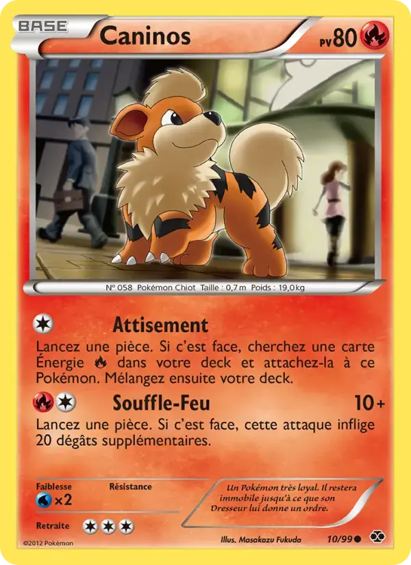 Carte Pokémon Caninos #10 — Destinées Futures
