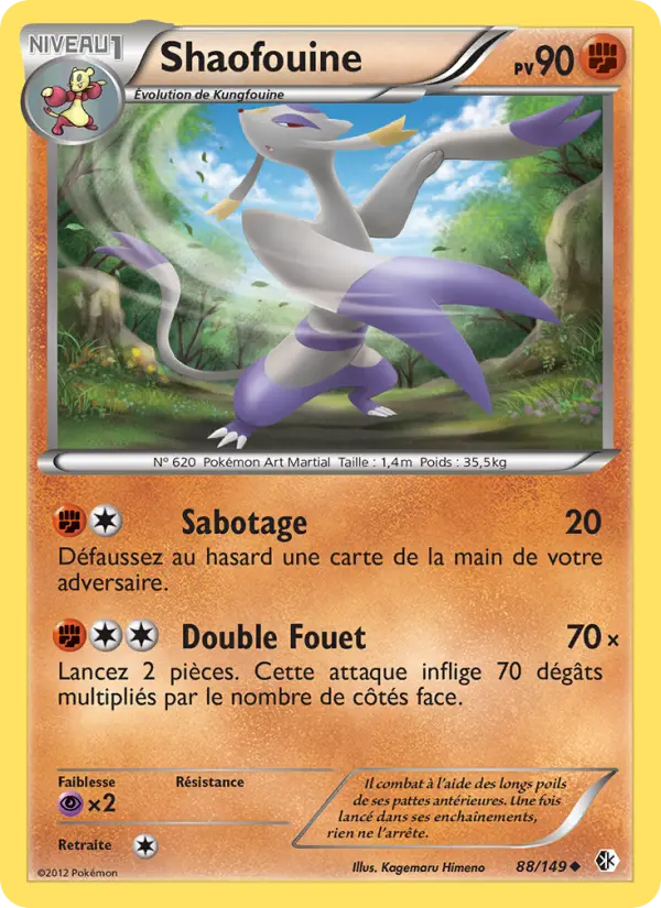 Carte Pokémon Shaofouine #88 — Frontières Franchies