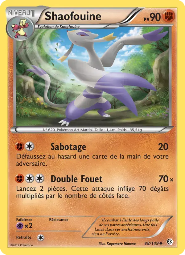 Carte Pokémon Shaofouine #88 — Frontières Franchies