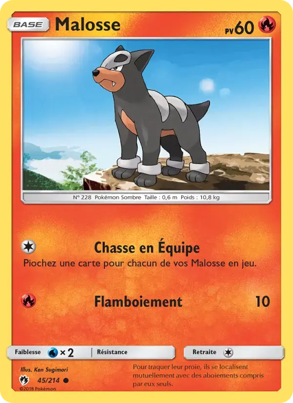 Carte Pokémon Malosse #45 — Tonnerre Perdu