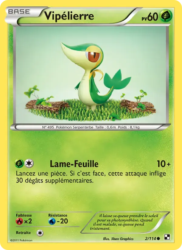 Carte Pokémon Vipélierre #2 — Noir et Blanc