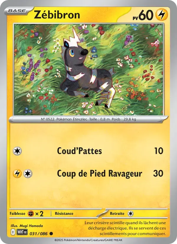 Carte Pokémon Zébibron #031 — Flamme Blanche