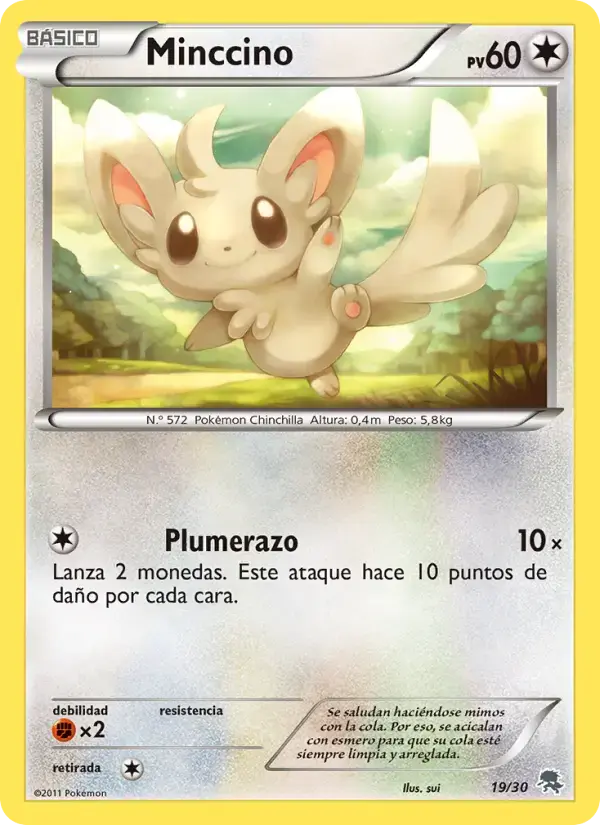 Minccino #19 — BW Trainer Kit (Zoroark)