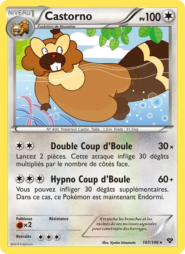 Carte Pokémon Castorno #107 — XY