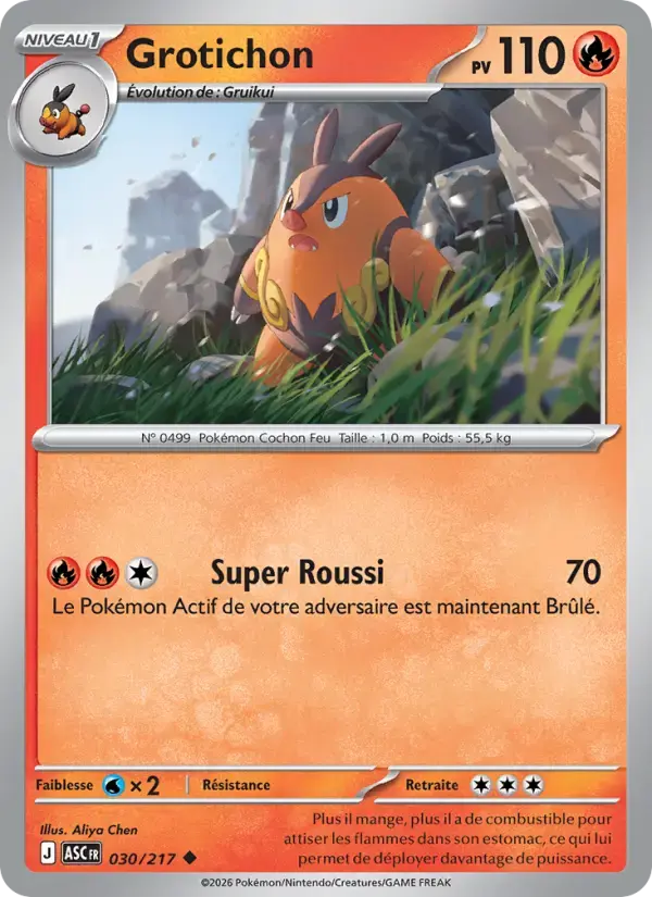 Carte Pokémon Grotichon #030 — Héros Transcendants