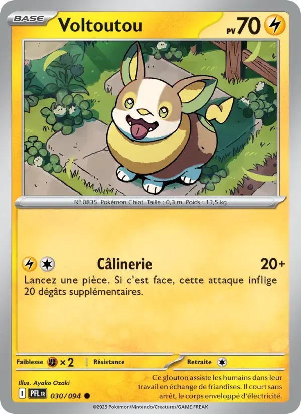 Carte Pokémon Voltoutou #030 — Flammes Fantasmagoriques