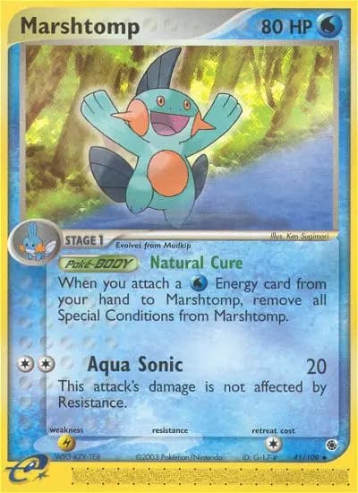 Marshtomp #41 — Ruby & Sapphire