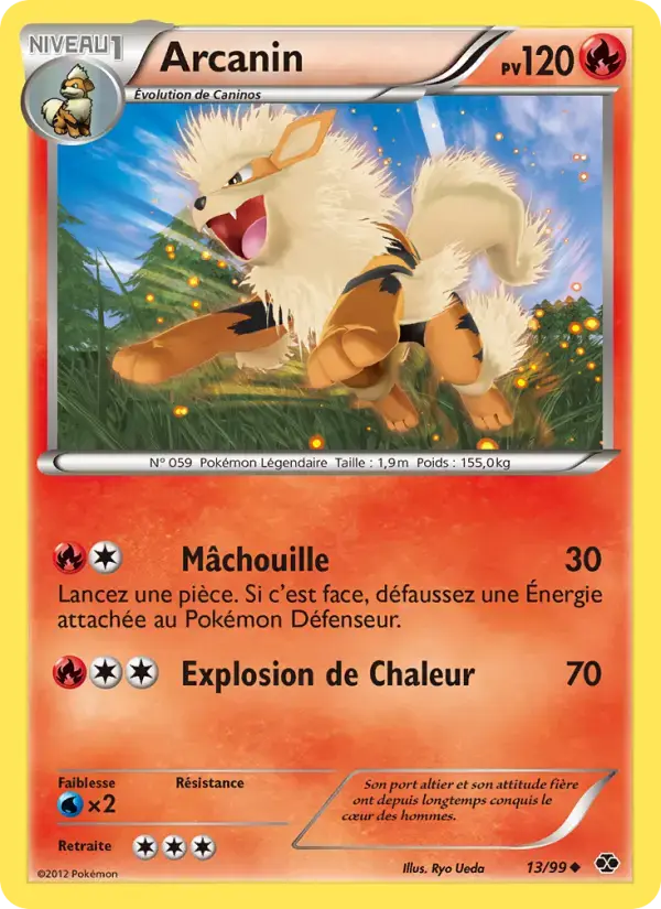 Carte Pokémon Arcanin #13 — Destinées Futures