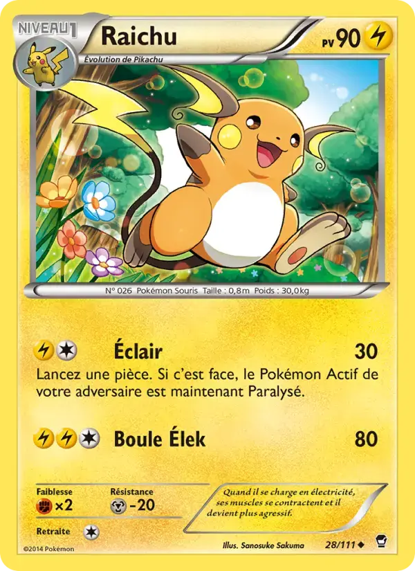 Carte Pokémon Raichu #28 — Poings Furieux