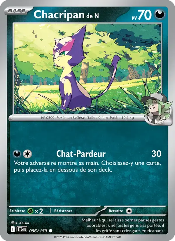 Carte Pokémon Chacripan de N #096 — Aventures Ensemble