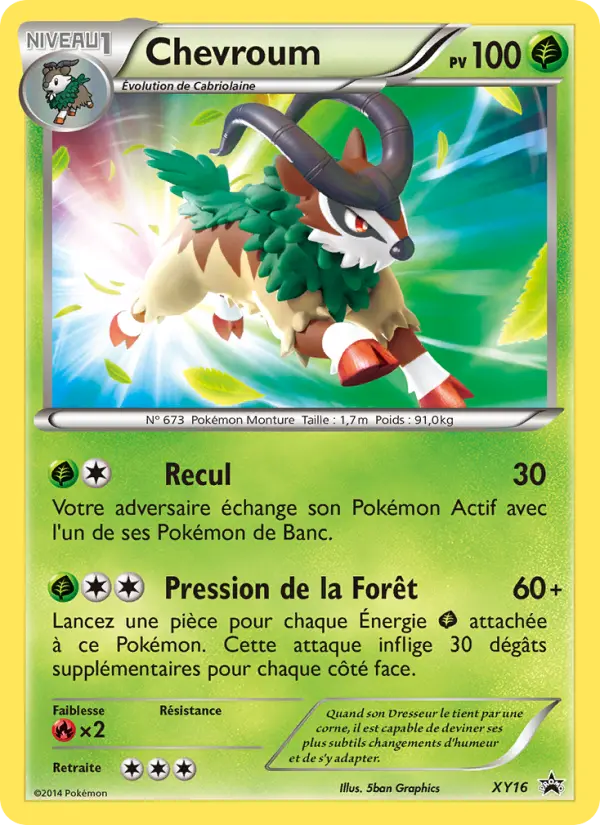 Carte Pokémon Chevroum #XY16 — Promos X&Y