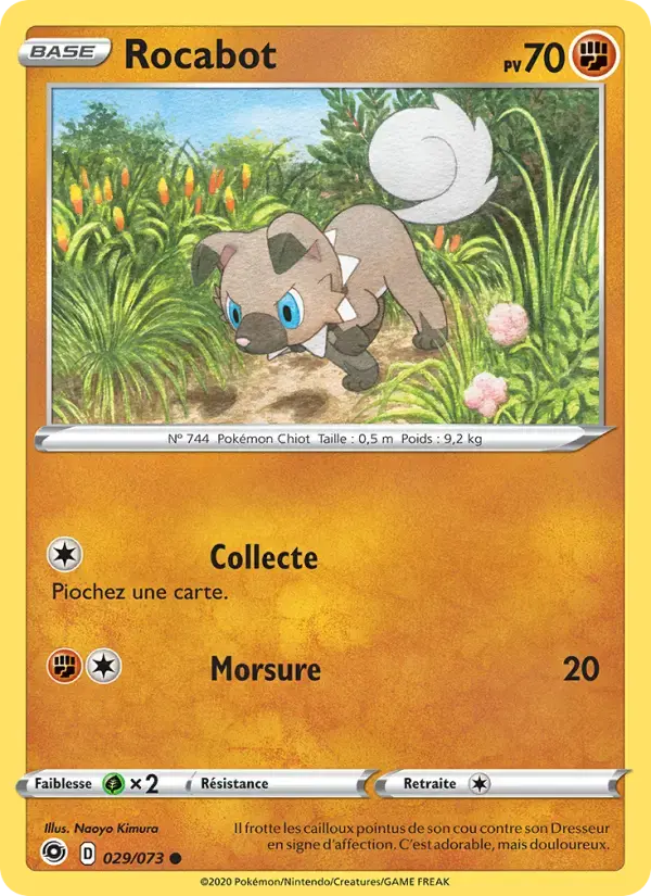 Carte Pokémon Rocabot #29 — La Voie du Maître