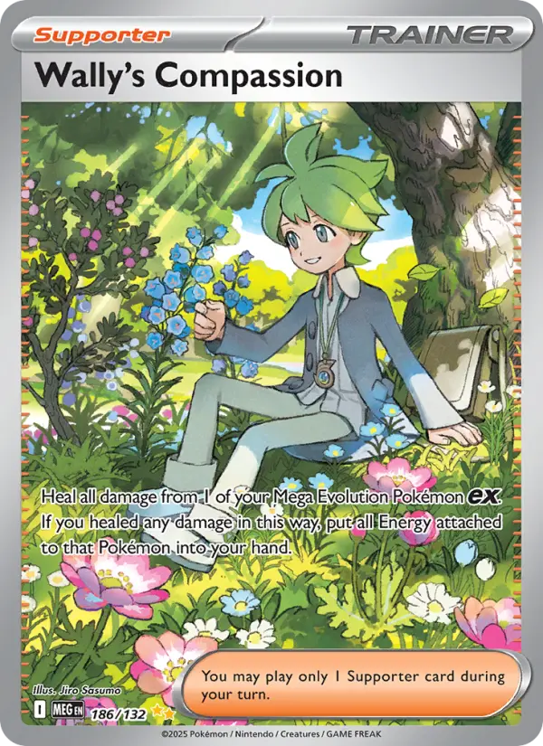 Carte Pokémon Compassion de Timmy #186 — Méga-Évolution