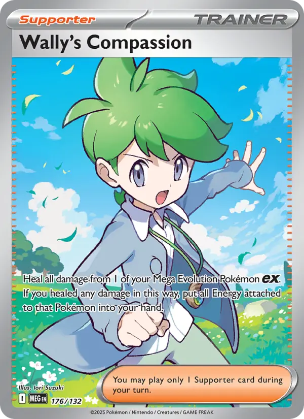 Carte Pokémon Compassion de Timmy #176 — Méga-Évolution