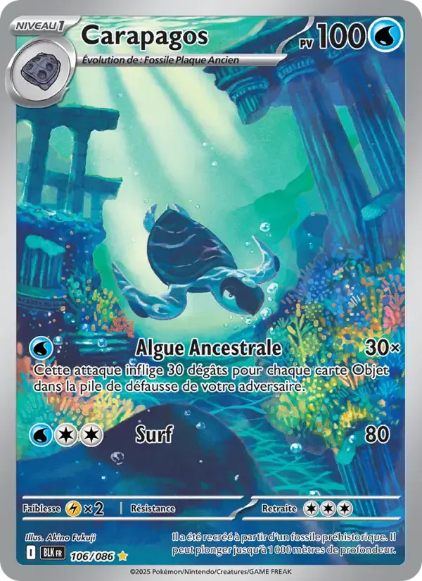 Carte Pokémon Carapagos #106 — Foudre Noire