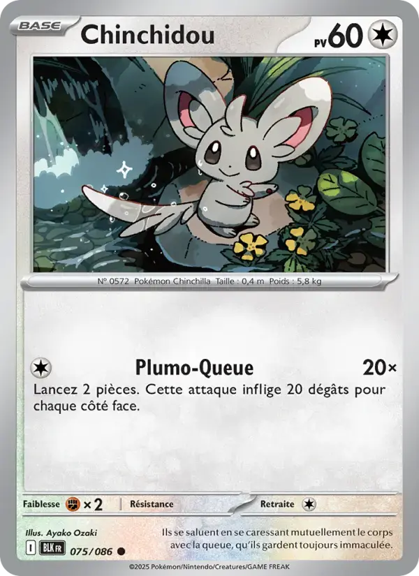 Carte Pokémon Chinchidou #075 — Foudre Noire