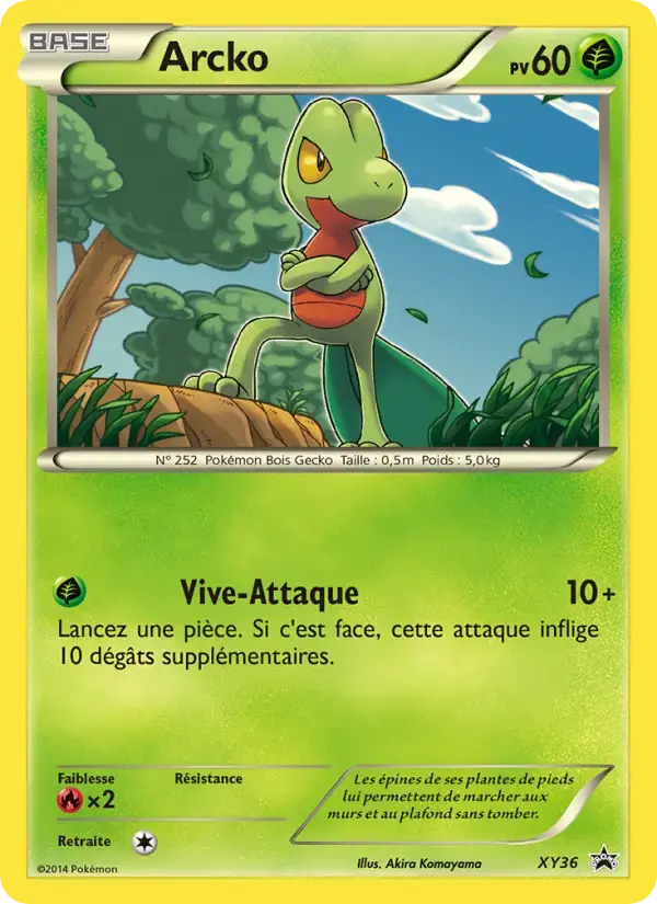 Carte Pokémon Arcko #XY36 — Promos X&Y