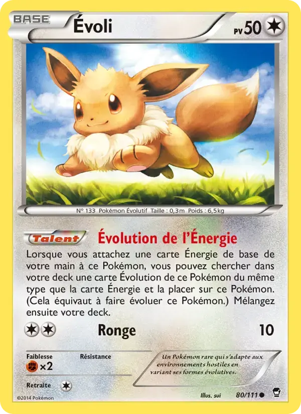Carte Pokémon Évoli #80 — Poings Furieux