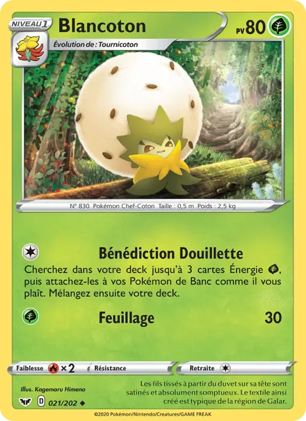 Carte Pokémon Blancoton #21 — Épée et Bouclier
