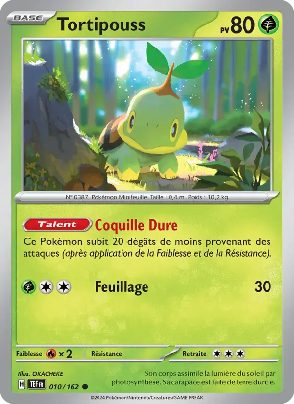 Carte Pokémon Tortipouss #010 — Forces Temporelles