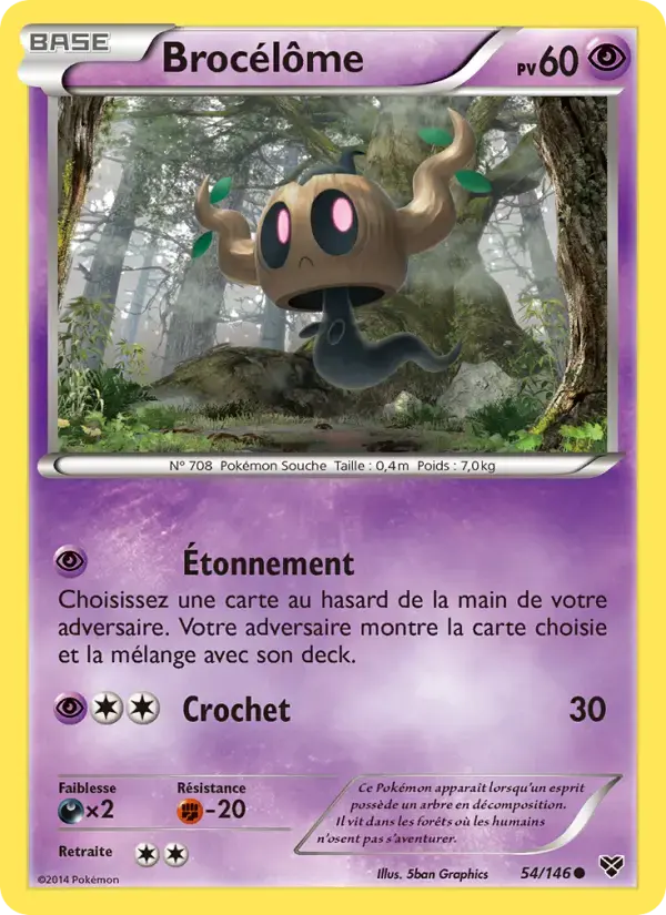 Carte Pokémon Brocélôme #54 — XY