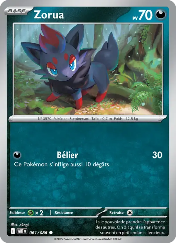 Carte Pokémon Zorua #061 — Flamme Blanche