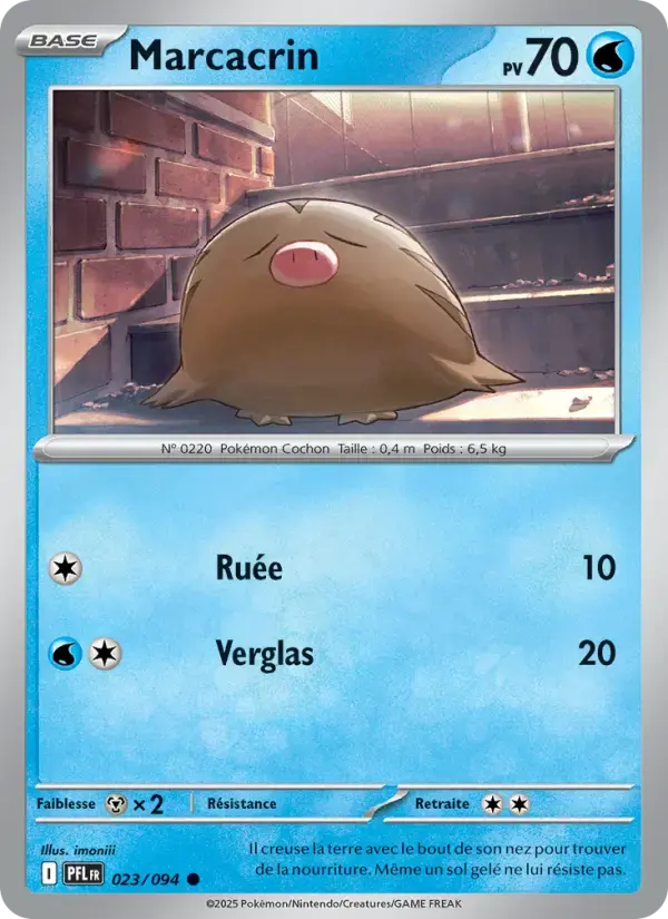 Carte Pokémon Marcacrin #023 — Flammes Fantasmagoriques