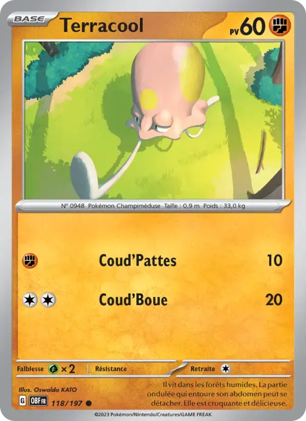 Carte Pokémon Terracool #118 — Flammes Obsidiennes