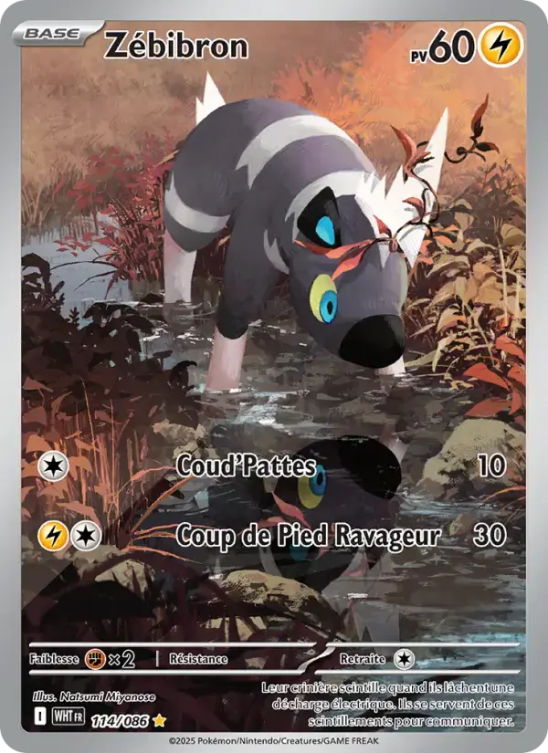 Carte Pokémon Zébibron #114 — Flamme Blanche