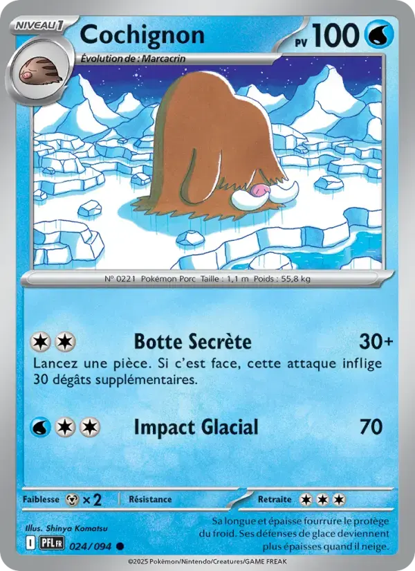 Carte Pokémon Cochignon #024 — Flammes Fantasmagoriques